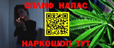 2c-b Камышлов
