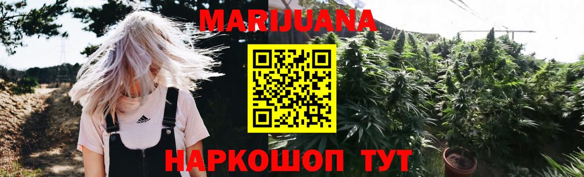 Каннабис сатива Кыштым